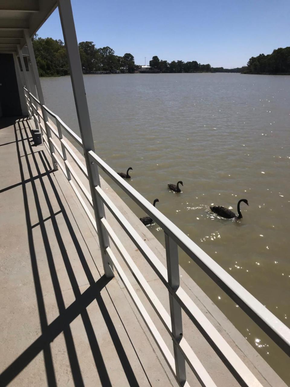 Murray River Queen Hotel Renmark Exterior foto